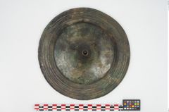 Foto von Bronzephalere (NHMW-PRAE-025824)
